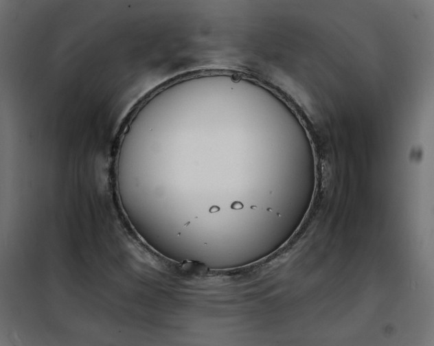 X0000100851260200807070924