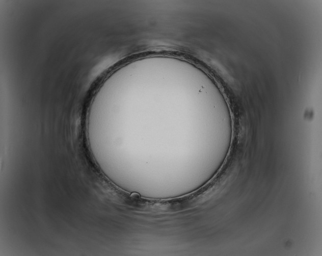 X0000100851261200807070924