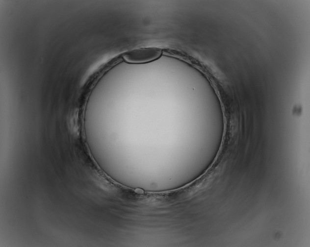 X0000100851262200807070924