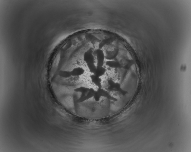 X0000100851263200807070924