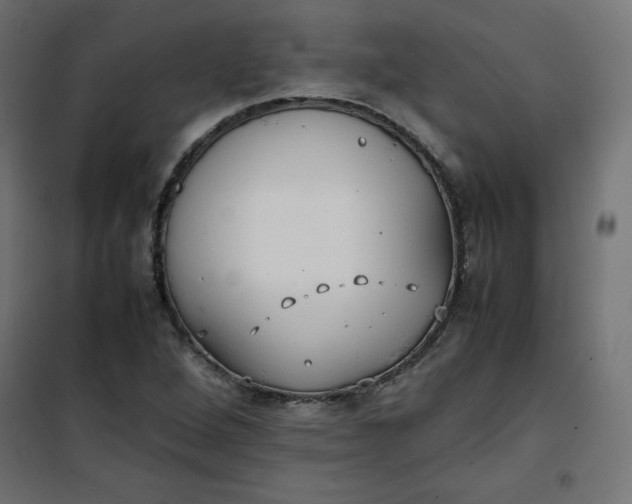 X0000100851264200807070924