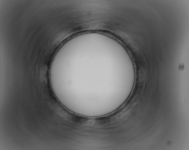 X0000100851265200807070924