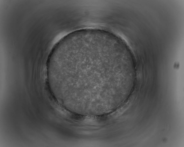 X0000100851267200807070924