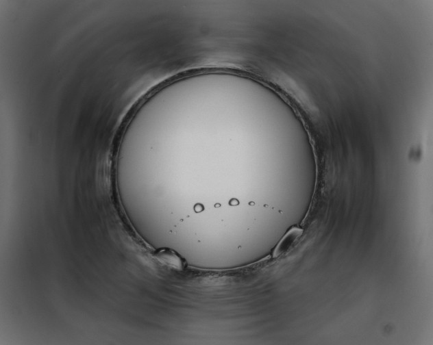 X0000100851268200807070924