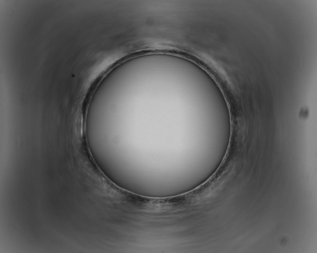 X0000100851269200807070924