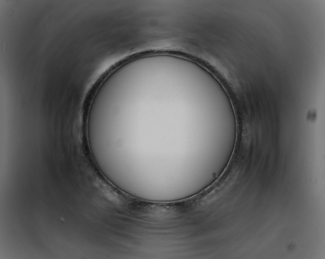 X0000100851270200807070924