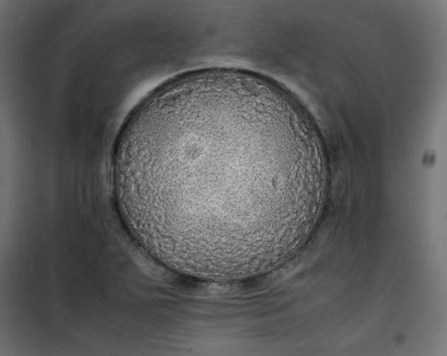 X0000100851271200807070924