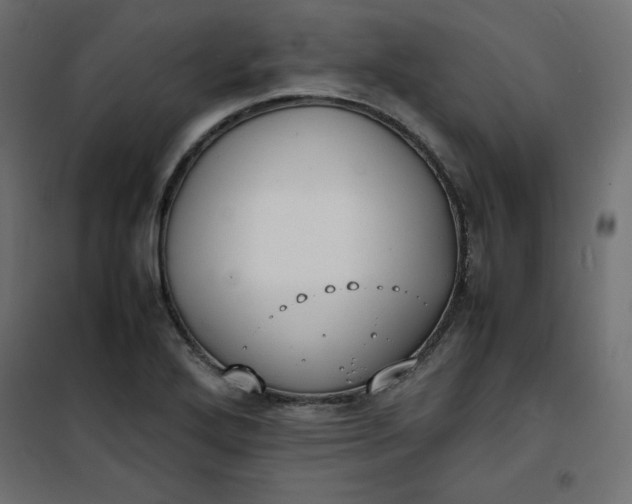 X0000100851272200807070924