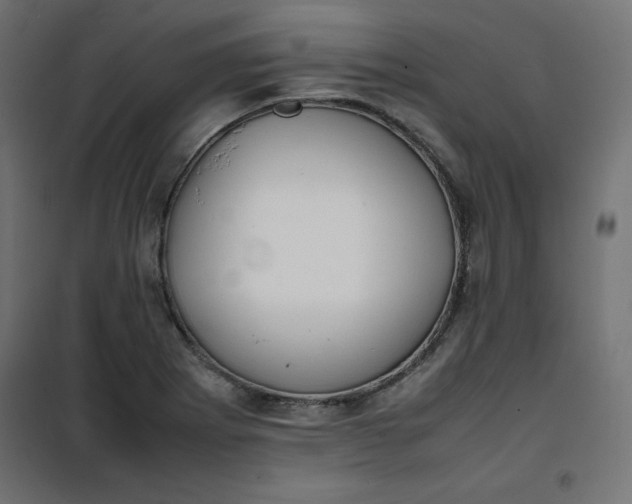 X0000100851273200807070924