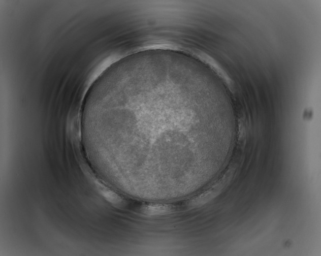 X0000100851274200807070924