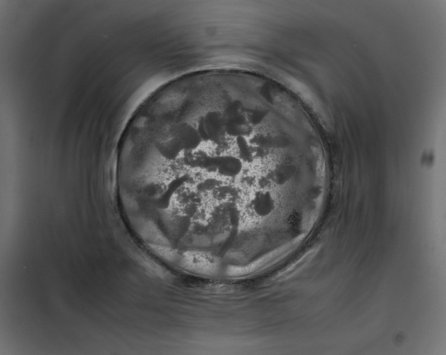 X0000100851275200807070924