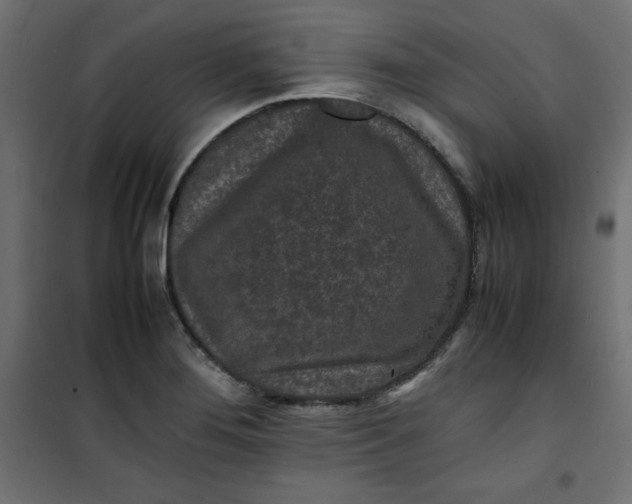 X0000100851276200807070924