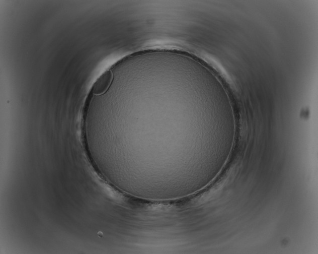 X0000100851277200807070924