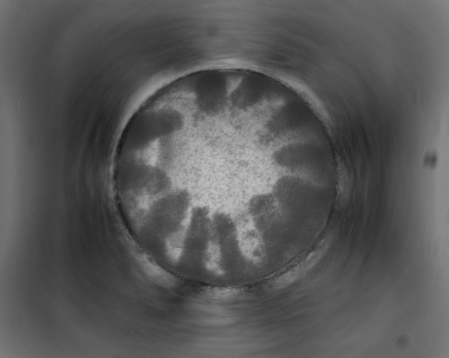 X0000100851278200807070924