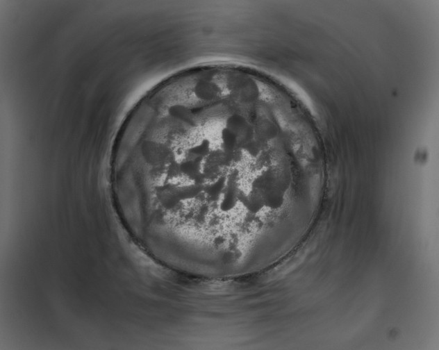 X0000100851279200807070924