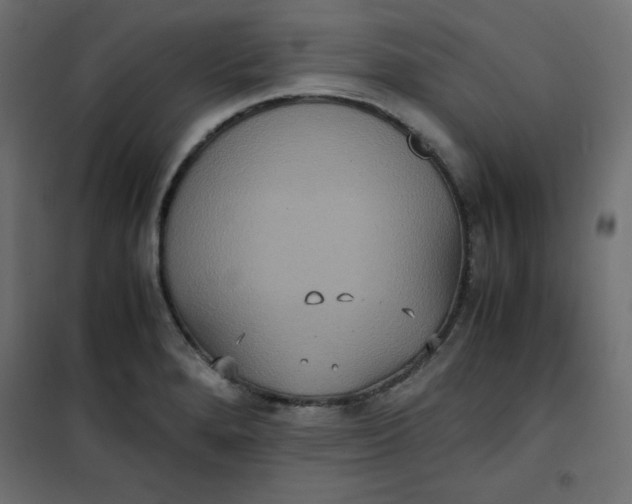 X0000100851280200807070924