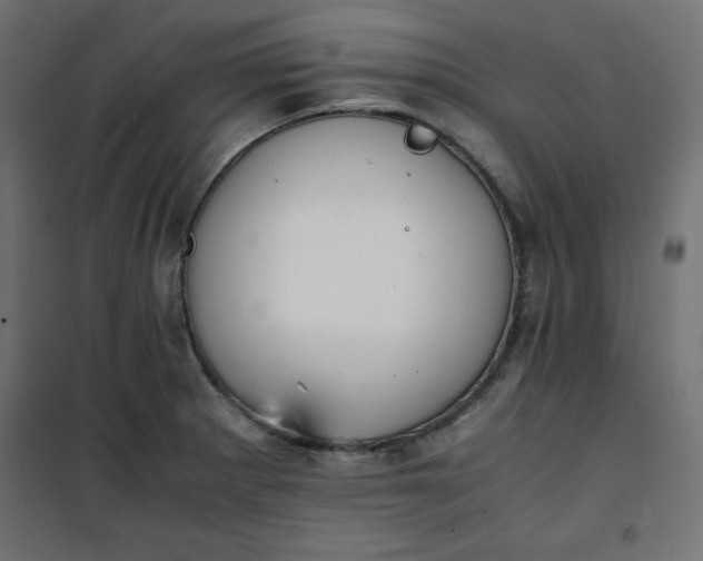 X0000100851281200807070924