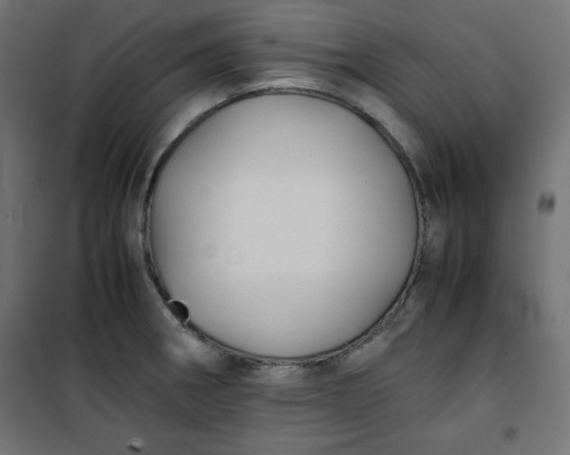 X0000100851282200807070924