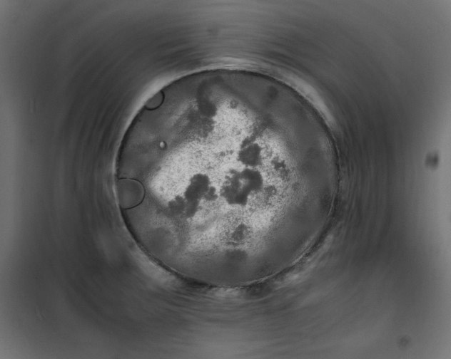 X0000100851283200807070924