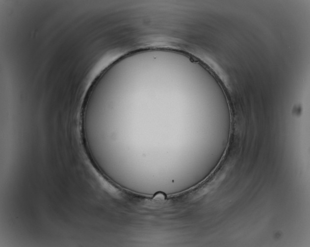 X0000100851285200807070924