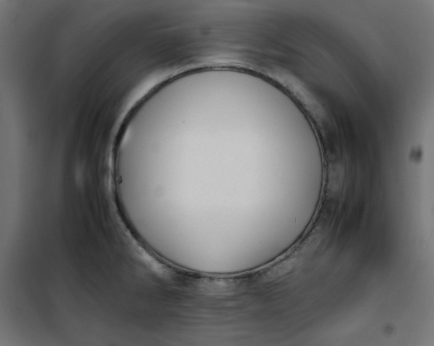 X0000100851286200807070924