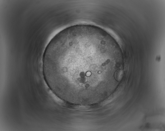 X0000100851287200807070924