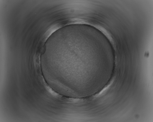 X0000100851289200807070924