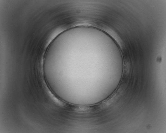 X0000100851290200807070924