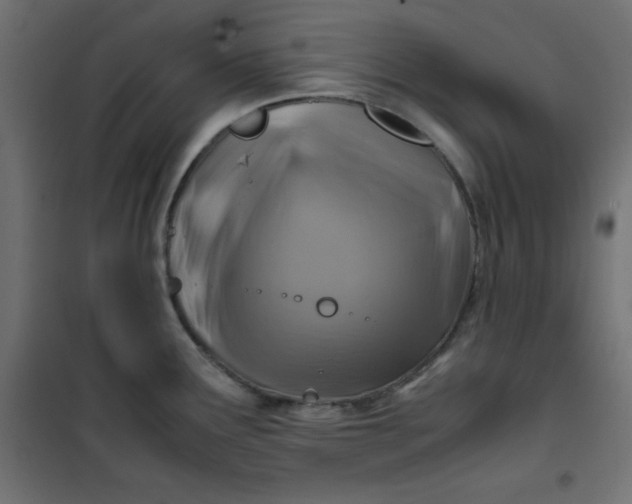 X0000100851291200807070924