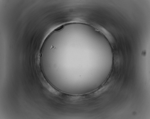 X0000100851292200807070924