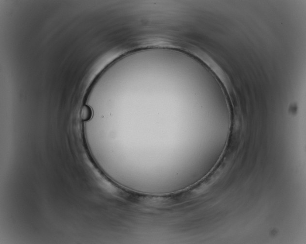 X0000100851293200807070924