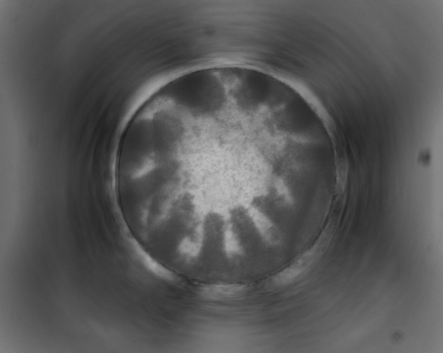 X0000100851294200807070924