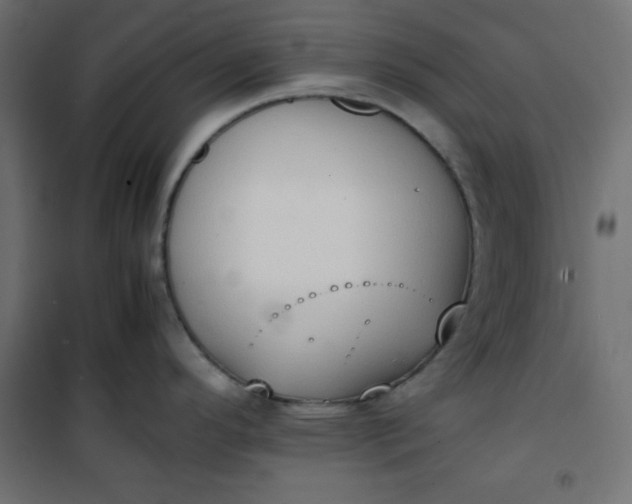 X0000100851296200807070924