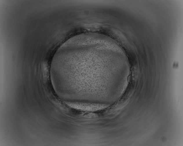 X0000100851298200807070923