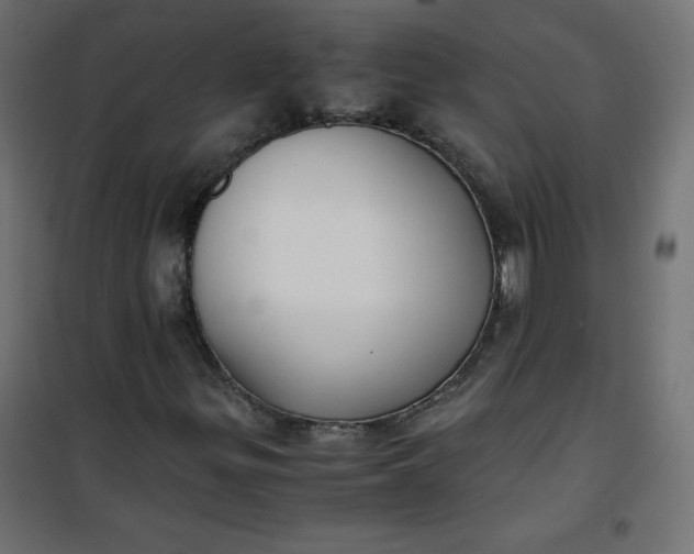 X0000100851299200807070923