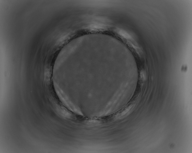 X0000100851300200807070923