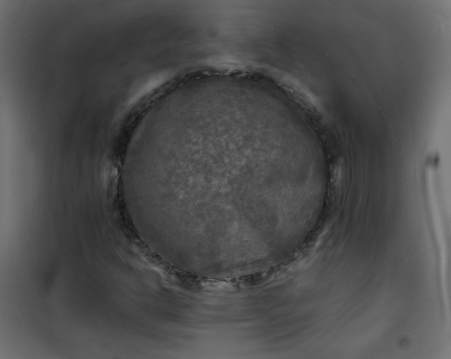 X0000100851302200807070923