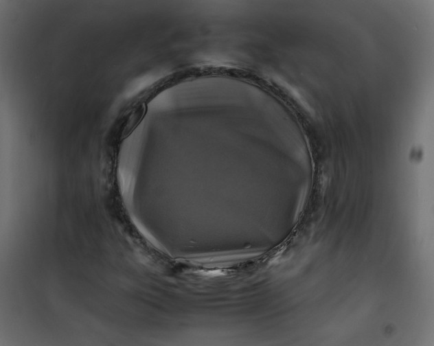 X0000100851303200807070923