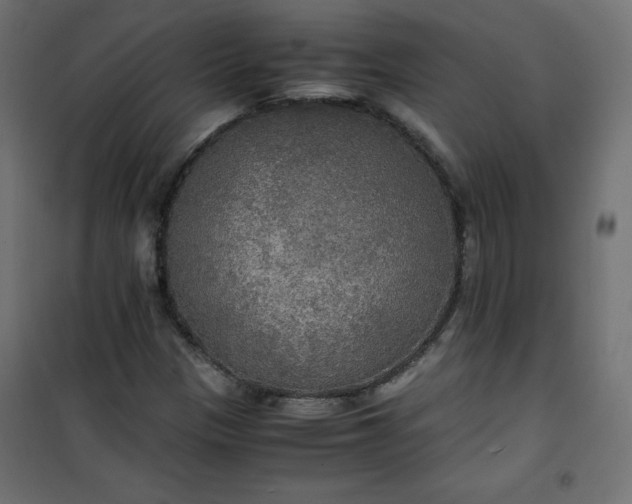 X0000100851305200807070923