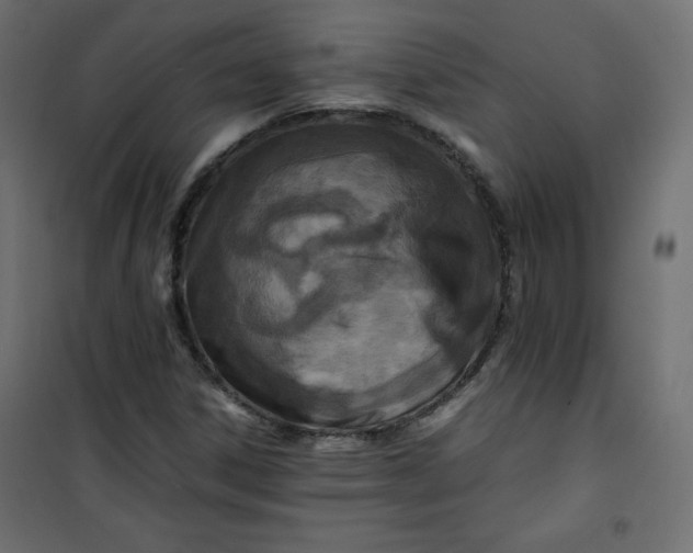 X0000100851306200807070923