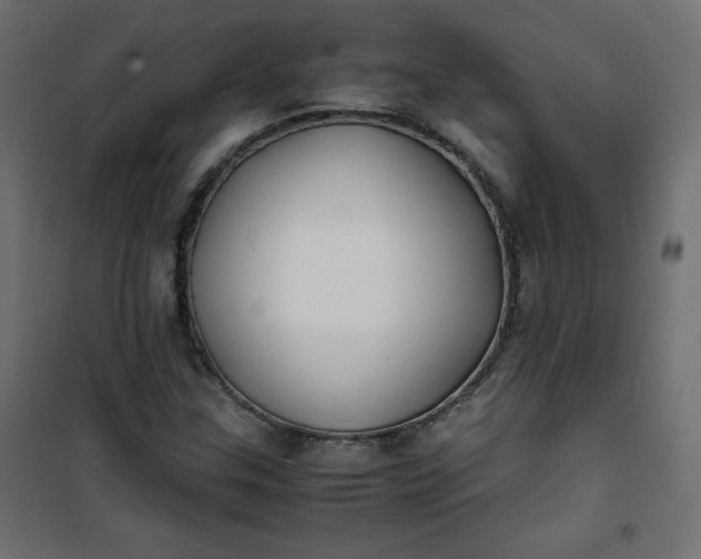 X0000100851307200807070923