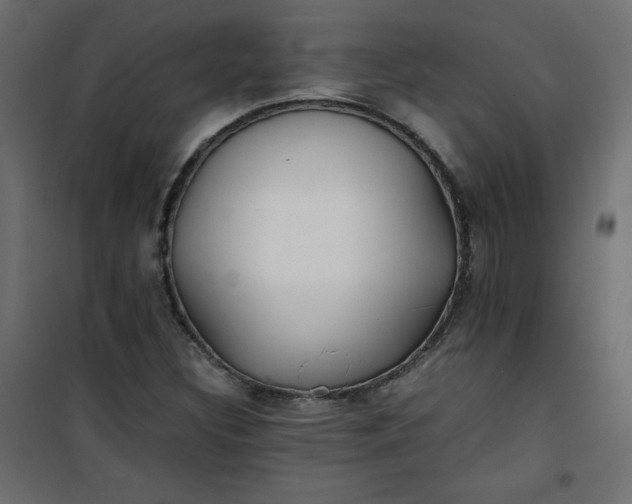 X0000100851308200807070923