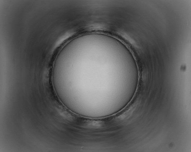 X0000100851309200807070923