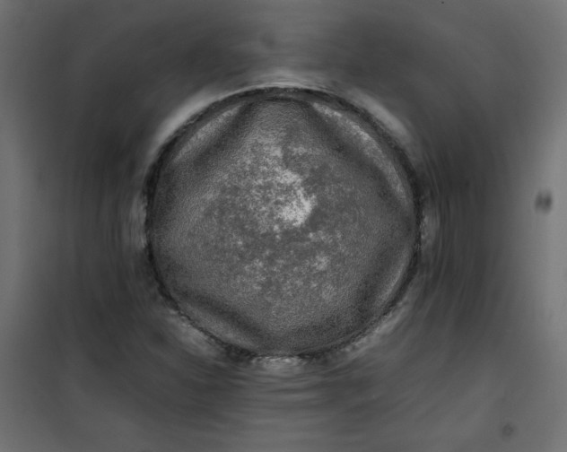 X0000100851310200807070923