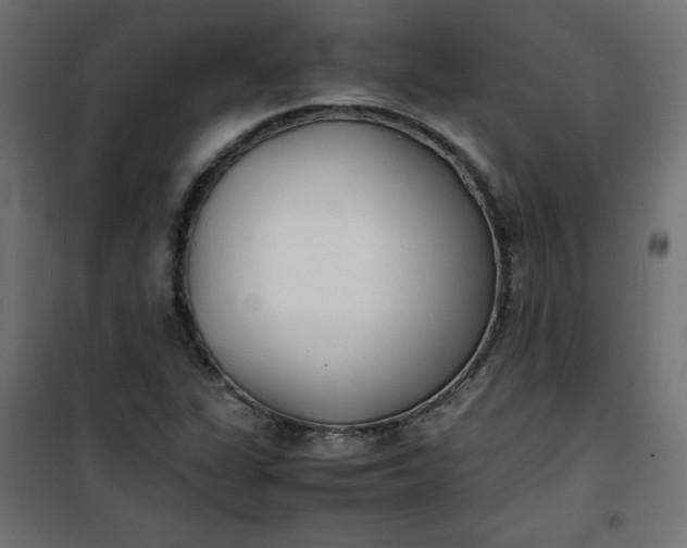 X0000100851311200807070923