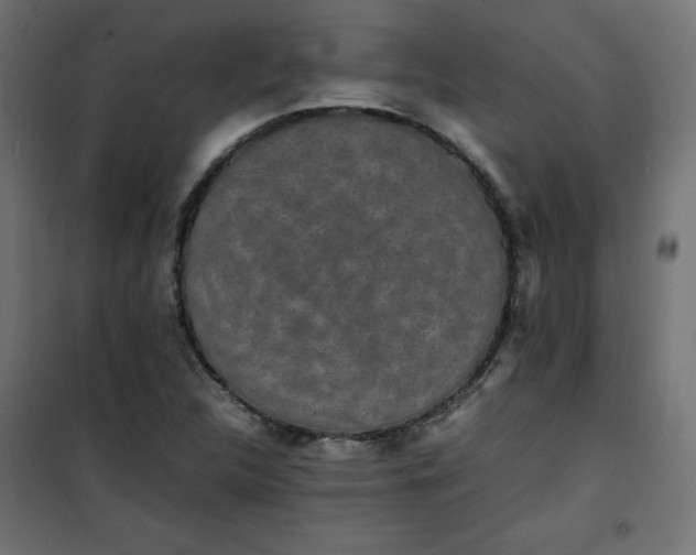 X0000100851312200807070923