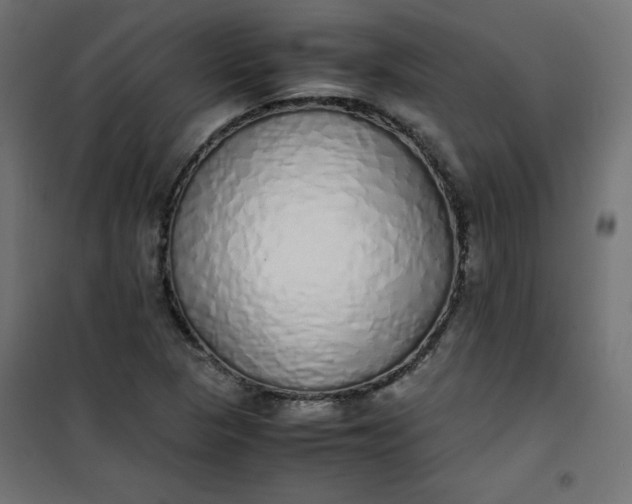 X0000100851313200807070923