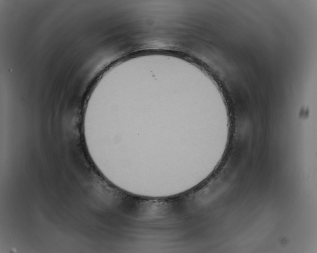 X0000100851314200807070923