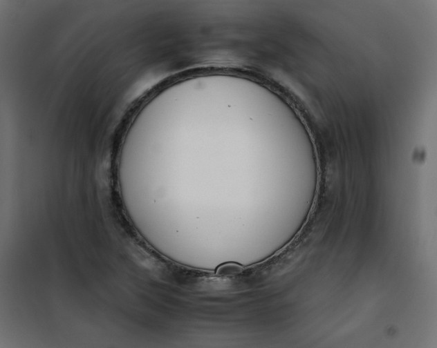 X0000100851315200807070923