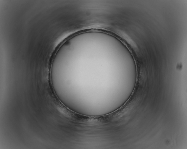 X0000100851316200807070923